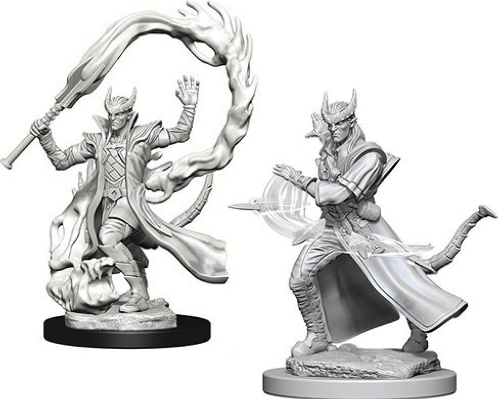 D&D Mini (W04): Male Tiefling Sorcerer