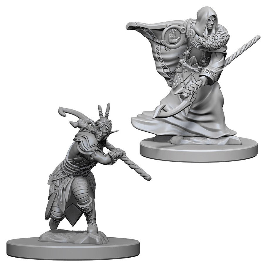 D&D Mini (W04): Male Elf Druid