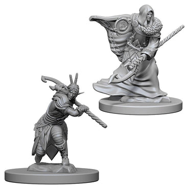 D&D Mini (W04): Male Elf Druid
