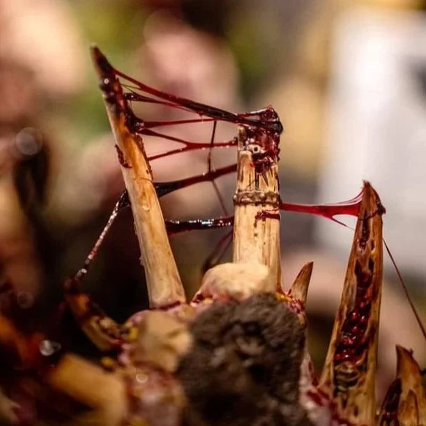 Dirty Down Effect Paint: Gore