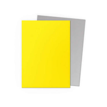 Dragon Shield: Dual Matte Sleeves - Yellow/Silver (100ct)