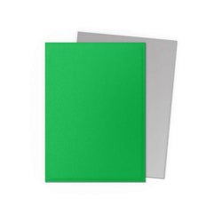 Dragon Shield: Dual Matte Sleeves - Apple Green/Silver (100ct)