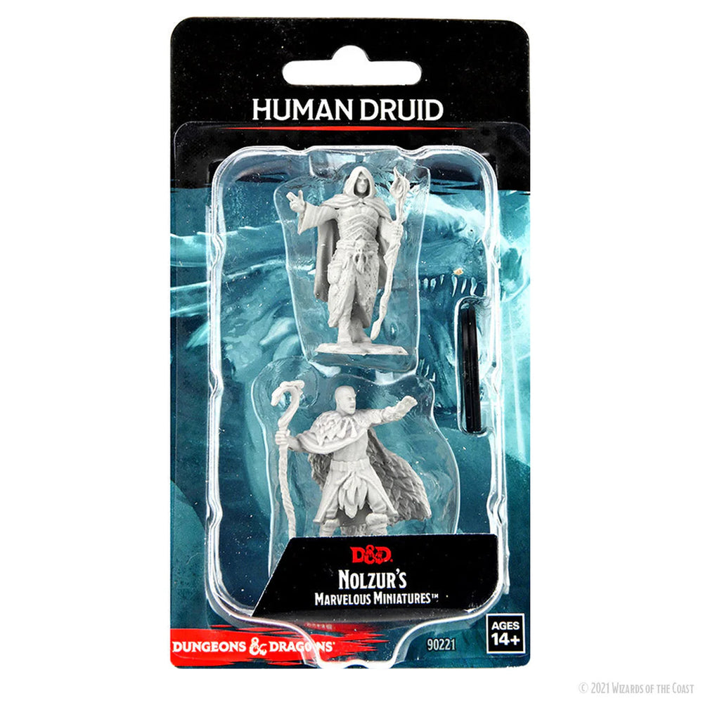 D&D Mini (W14): Male Human Druid