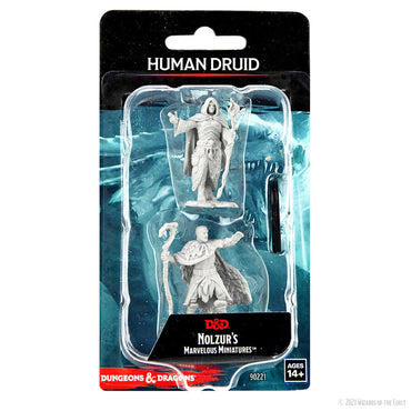 D&D Mini (W14): Male Human Druid