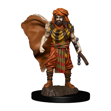 D&D Icons of the Realms: Male Human Druid - Painted