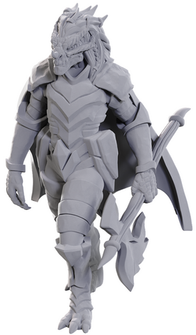 D&D Nolzur's Dragonborn of Tiamat (W25)