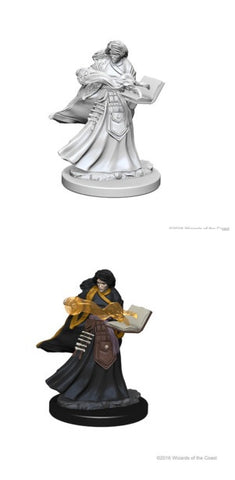 D&D Mini (WV1):  Female Human Wizard