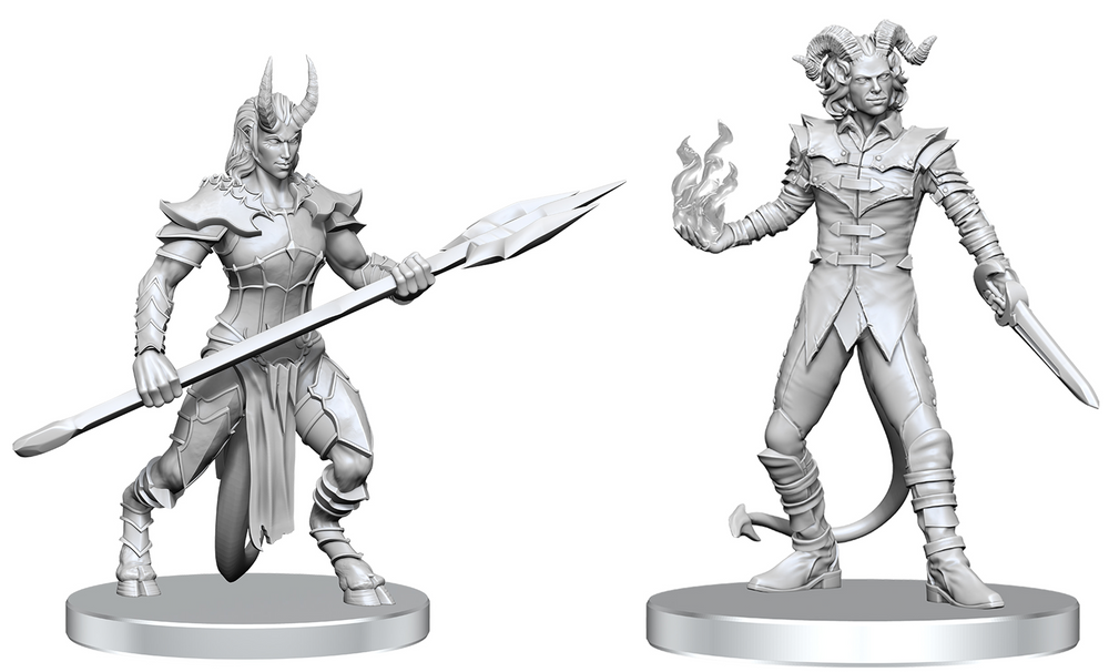 Pathfinder Mini (W27): Vordine & Pitborn Rogue