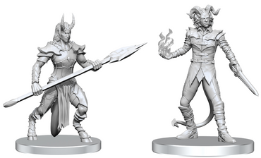 Pathfinder Mini (W27): Vordine & Pitborn Rogue