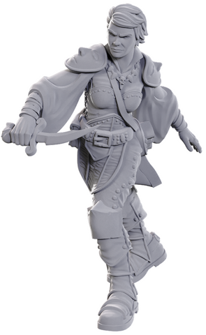 D&D Mini (W25) Swashbuckler