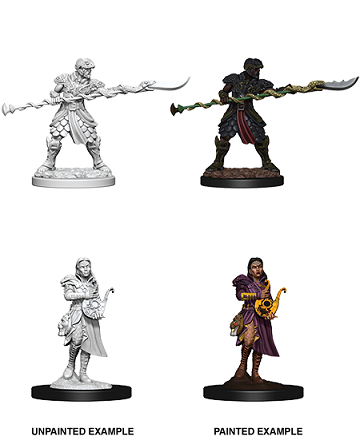 D&D Mini (W09): Yuan-Ti Pureblood Adventurers