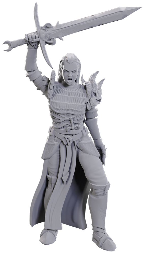 D&D Mini (W25): Blackguard