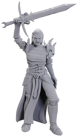 D&D Mini (W25): Blackguard