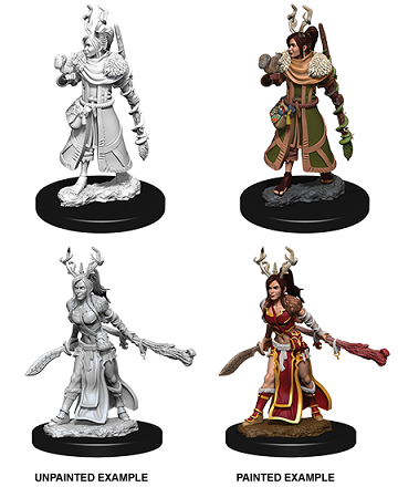D&D Mini (WV9) Female Human Druid