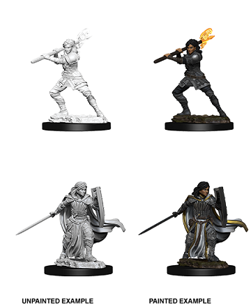 D&D Mini (WV10) Female Human Paladin