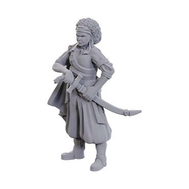 D&D Mini (W23): Ansalon Human Rogue