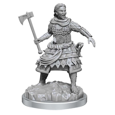 D&D Mini (W21): Human Fighters