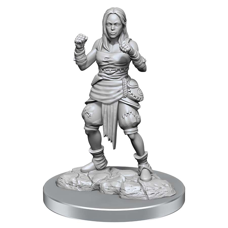Pathfinder Mini (W21): Female Half-Elf Monk