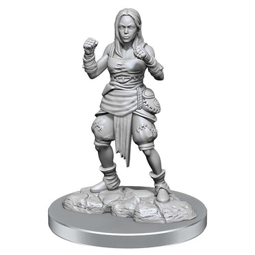 Pathfinder Mini (W21): Female Half-Elf Monk