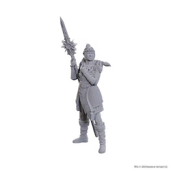 D&D Nolzur's Marvelous Miniatures: Baldur's Gate 3 - Lae'zel & Shadowheart