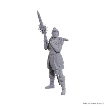 D&D Nolzur's Marvelous Miniatures: Baldur's Gate 3 - Lae'zel & Shadowheart