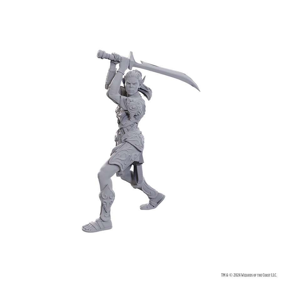 D&D Nolzur's Marvelous Miniatures: Baldur's Gate 3 - Lae'zel & Shadowheart