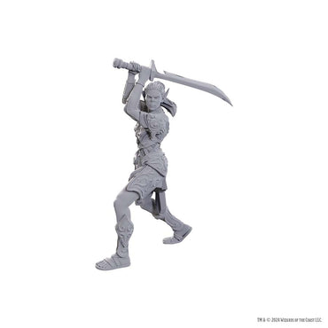 D&D Nolzur's Marvelous Miniatures: Baldur's Gate 3 - Lae'zel & Shadowheart
