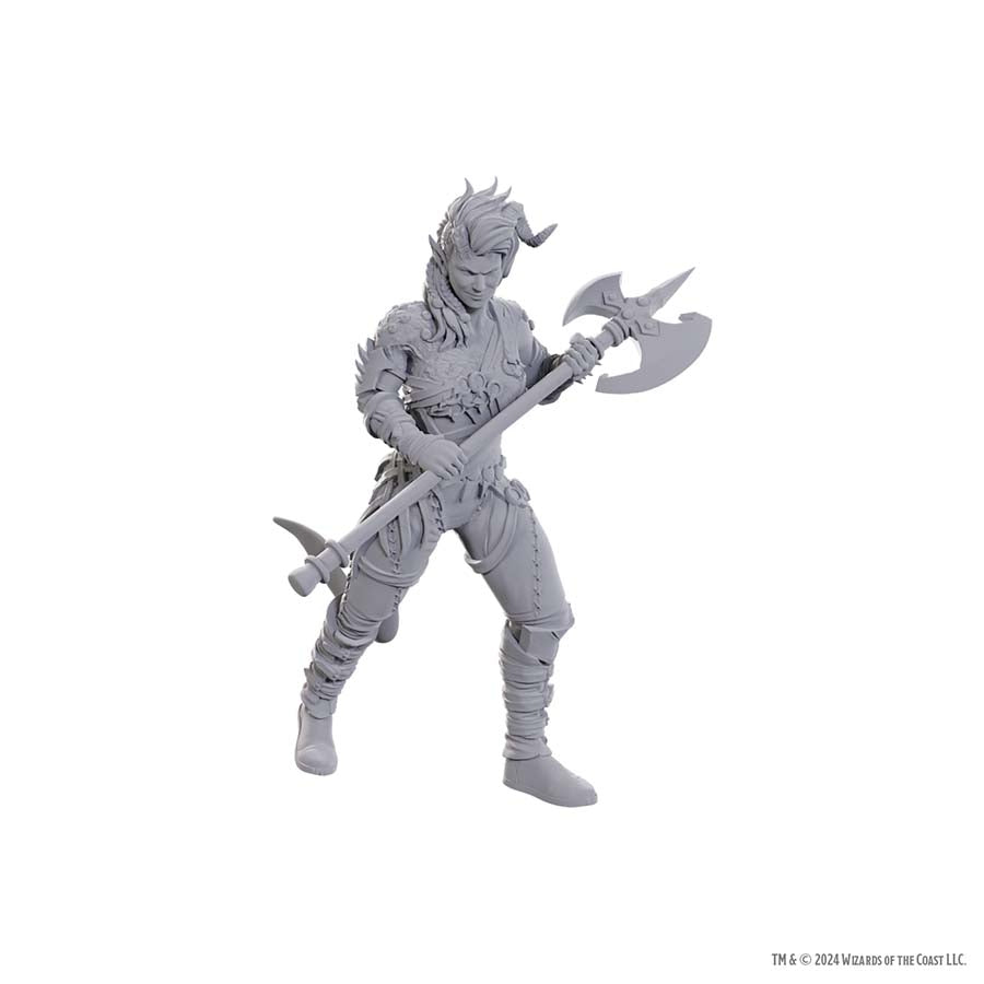 D&D Nolzur's Marvelous Miniatures: Baldur's Gate 3 - Wyll & Karlach