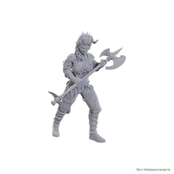 D&D Nolzur's Marvelous Miniatures: Baldur's Gate 3 - Wyll & Karlach