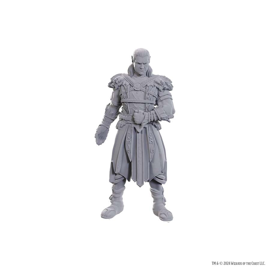 D&D Nolzur's Marvelous Miniatures: Baldur's Gate 3 - Jaheira & Halsin
