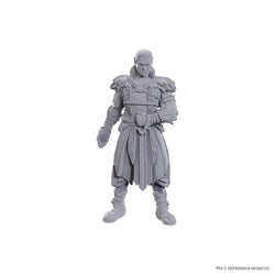D&D Nolzur's Marvelous Miniatures: Baldur's Gate 3 - Jaheira & Halsin