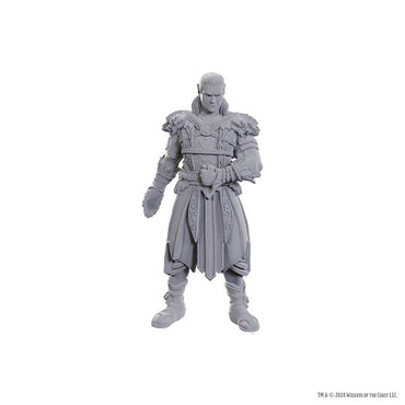 D&D Nolzur's Marvelous Miniatures: Baldur's Gate 3 - Jaheira & Halsin
