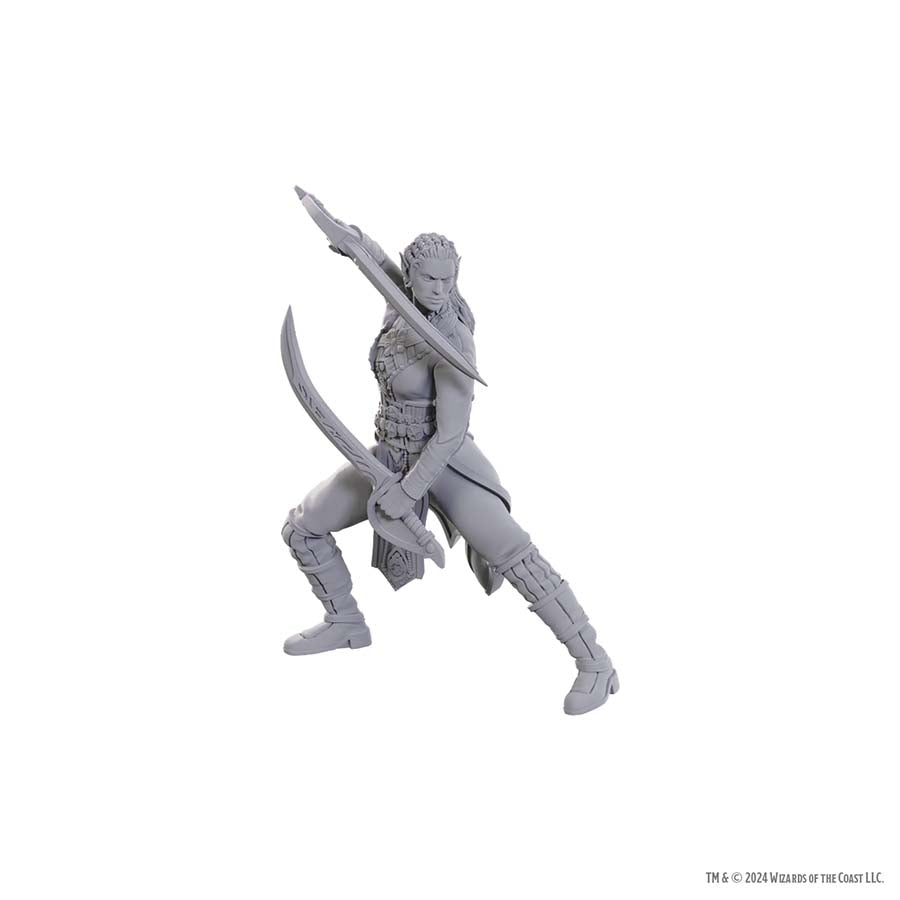 D&D Nolzur's Marvelous Miniatures: Baldur's Gate 3 - Jaheira & Halsin