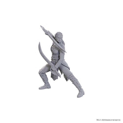 D&D Nolzur's Marvelous Miniatures: Baldur's Gate 3 - Jaheira & Halsin