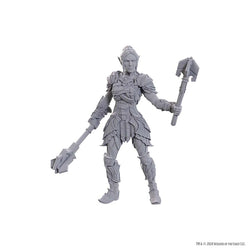 D&D Nolzur's Marvelous Miniatures: Baldur's Gate 3 - Dame Aylin & Minthara