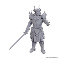D&D Nolzur's Marvelous Miniatures: Baldur's Gate 3 - Sarevok Anchev & Raphael