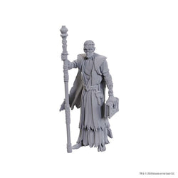 D&D Nolzur's Marvelous Miniatures: Baldur's Gate 3 - Volo & Withers