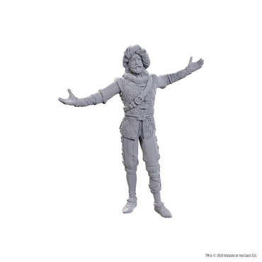 D&D Nolzur's Marvelous Miniatures: Baldur's Gate 3 - Volo & Withers
