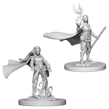 D&D Mini (W04): Female Elf Druid