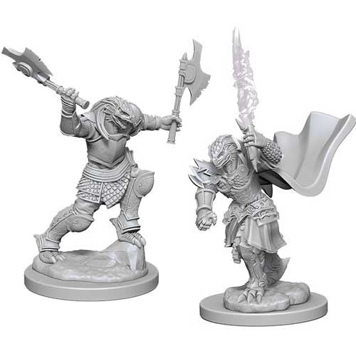 D&D Mini (W04): Female Dragonborn Fighter