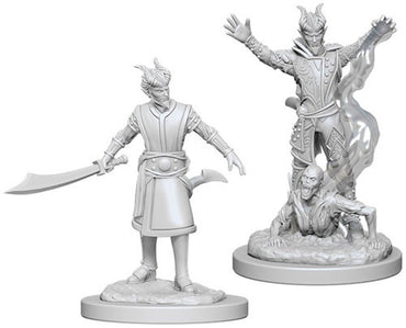 D&D Mini (W06): Male Tiefling Warlock