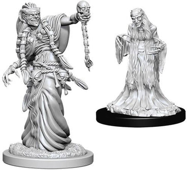 D&D Mini (W06): Green Hag & Night Hag