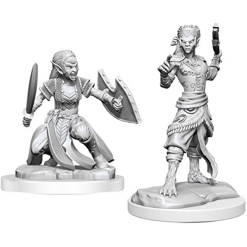 D&D Mini (W20): Shifter Fighter