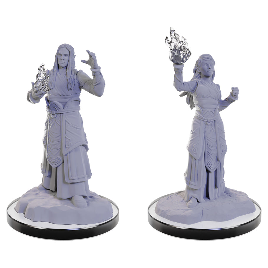 D&D Mini (W22): Elf Wizards