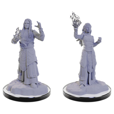 D&D Mini (W22): Elf Wizards