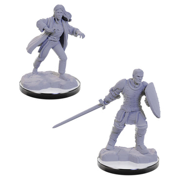 D&D Mini (W22): Reborn Paladin & Warlock
