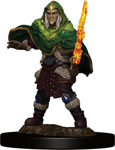 D&D Premium Painted Mini: Male Elf Fighter