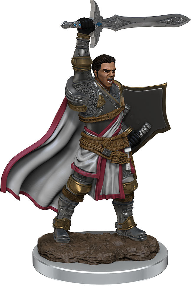 D&D Painted Mini (W07): Male Human Paladin