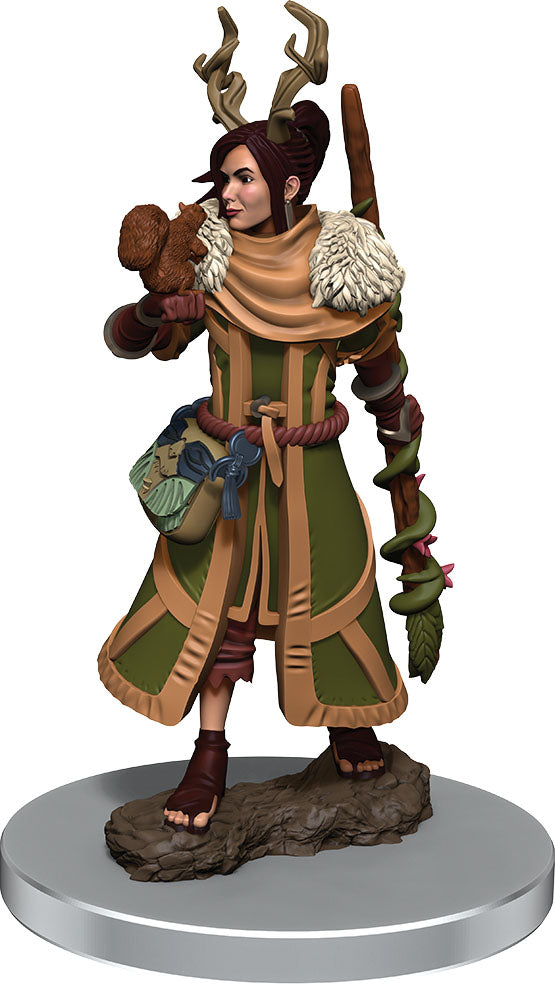 D&D Premium Painted Mini: Female Human Druid