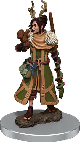 D&D Premium Painted Mini: Female Human Druid